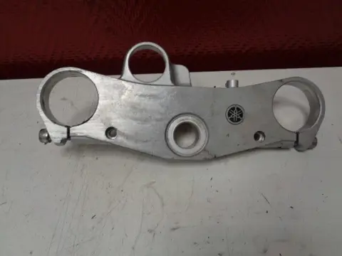 KROONPLAAT Yamaha YZF 1000 Thunderace 1995 - 2002