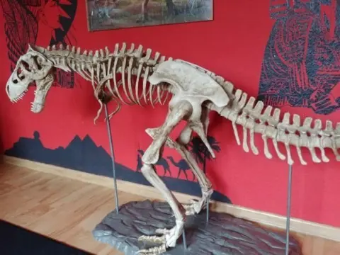 Dinosaurus Trex - lengte 2 meter - Composiet