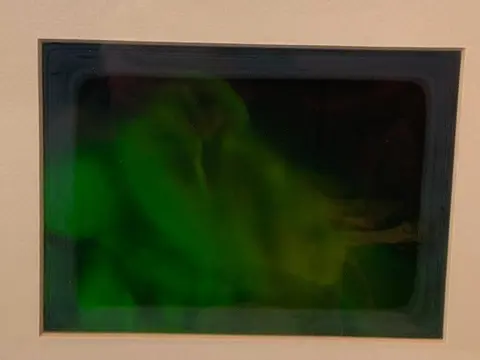 Eendenhologram uit de jaren 70 - Polymeer