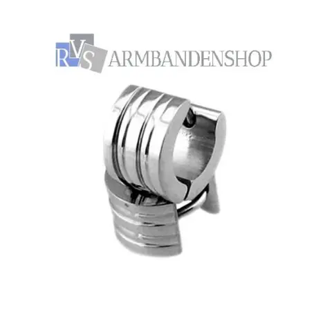 Div rvs oorbellen met nep diamant saffier robijn zirkonia