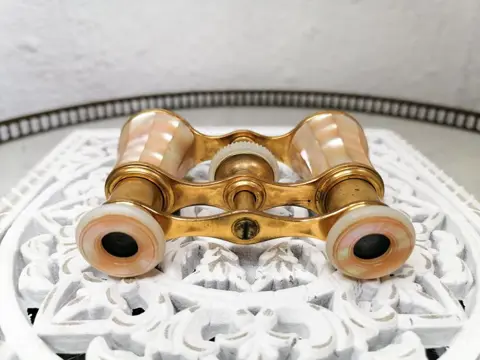 Mooie theaterkijker / Opera in parelmoer en messing voorzien van een bij (1) - Napoleon III - Parelmoer