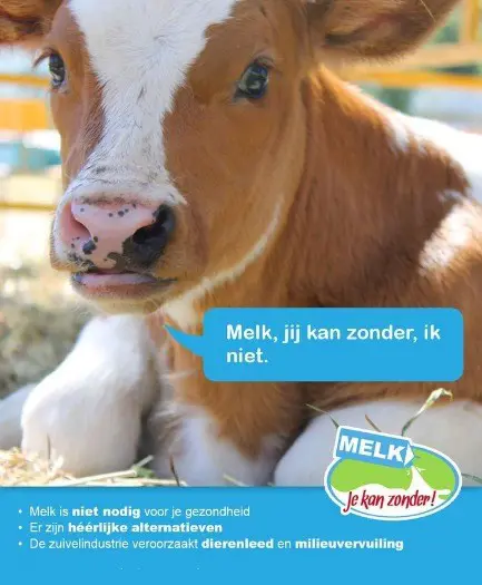 Melk is NIET de witte motor - Advies/oproep