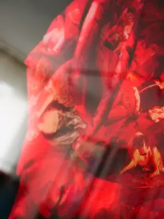 Teejo (1992) - Rose éternelle, l'amour à travers les époques