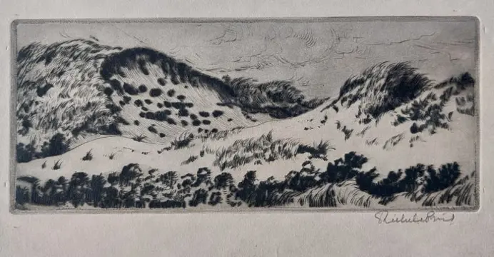 Riekele Prins (XX) - Duinen op Ameland