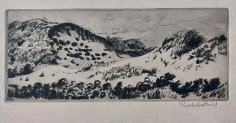 Riekele Prins (XX) - Duinen op Ameland