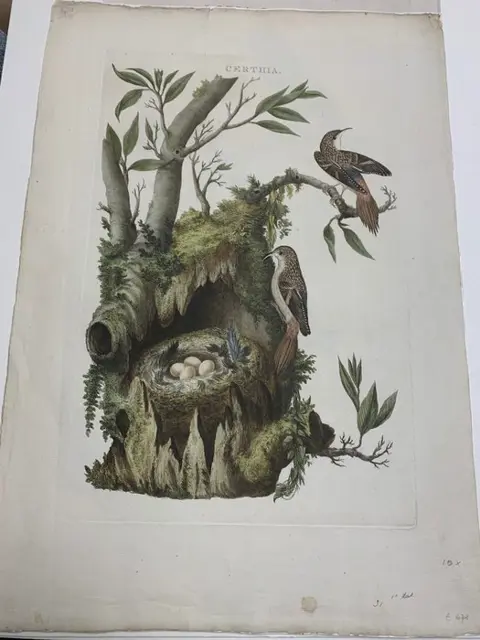 Sepp en Nozeman - De Certhia by Sepp & Nozeman