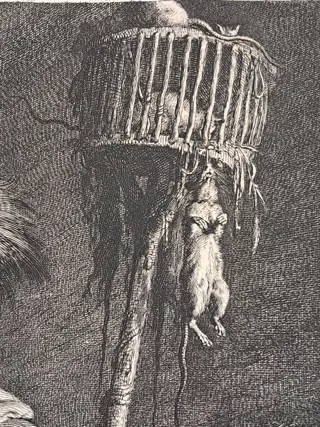 Cornelis Visscher (1629-1658) - "Il cacciatore di topi"