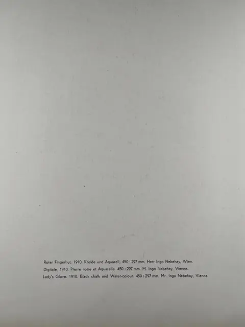 Egon Schiele (1890-1918), (after) - Roter Fingerhut