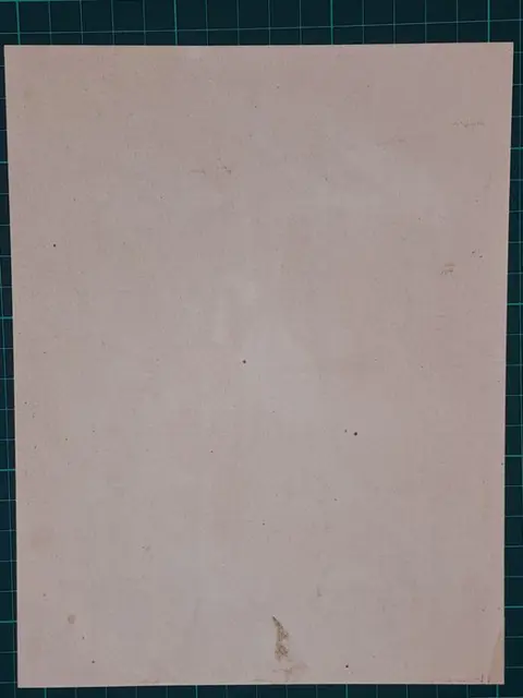 Onbekende graveur - Ornithology - 5 prints