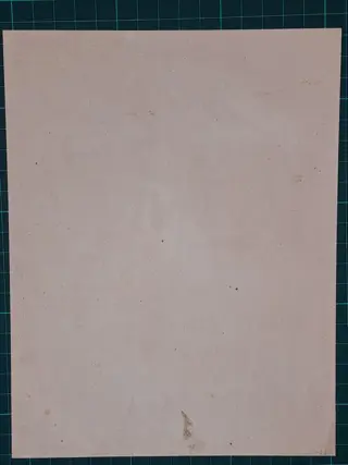 Onbekende graveur - Ornithology - 5 prints