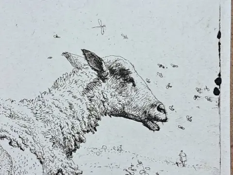 Karel Dujardin (c.1626-1678) - "Le pecore e le mosche"