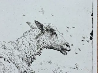 Karel Dujardin (c.1626-1678) - "Le pecore e le mosche"