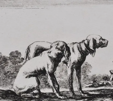 Stefano Della Bella (1610-1664) - "Two hunting Dogs"