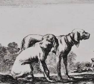 Stefano Della Bella (1610-1664) - "Two hunting Dogs"