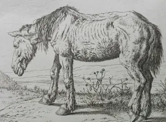 Anoniem naar Paulus Potter, uitgever Nicolaes Visscher I (1618-1679) - two horses dying