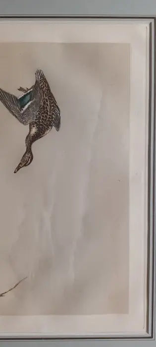 Leon Danchin (1887-1938) - L'envol des canards