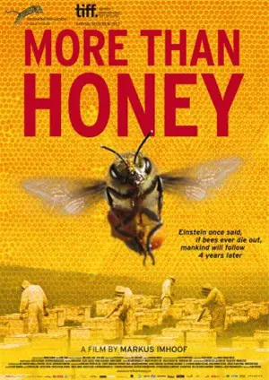 MORE THAN HONEY filmposter.