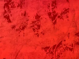Reinhard Sommer - Mrs. Coral(XXL)
