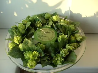 SCHAAL GLAS WATERPLANT IN TE LATEN DRIJVEN 35 cm 3 STUKS