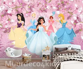 Prinsessen fotobehang, Princess behang