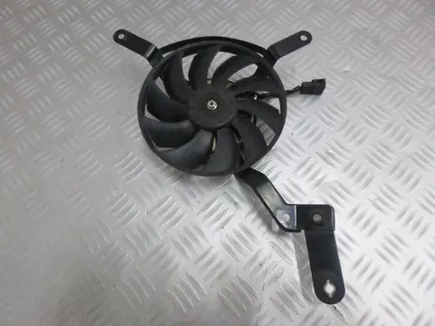 VENTILATOR Triumph Street Triple 675 2013 - 2013