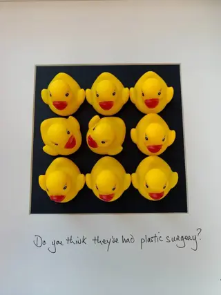 T P Hardisty - Do you think they've had plastic surgery ?