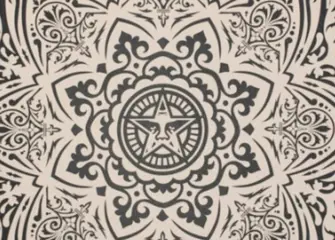 Shepard Fairey (OBEY) (1970) - Mea Culpa