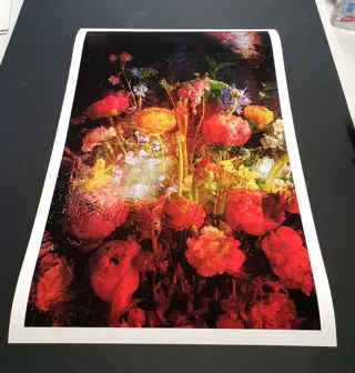 Viet Ha Tran - Baroque Flowers VII