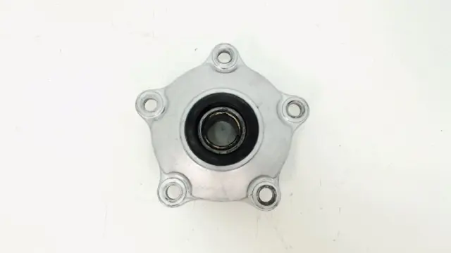 TANDWIELDRAGER Aprilia Tuono 1000 2006 - 2008