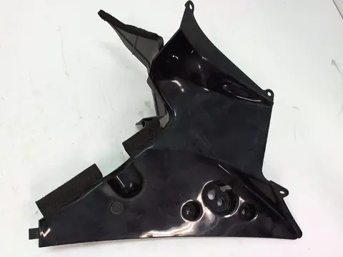 RECHTER ACHTERKANT Honda CBR Fireblade 2000 - 2001