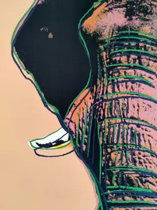 After Andy Warhol ( 1928 - 1987) - Elephant, from: Endangered Species