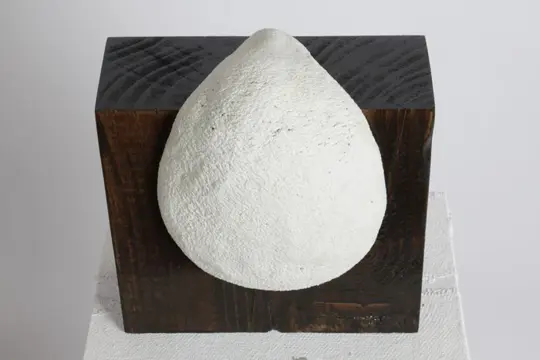 Valeriu Cazacevschi (1981) - Metamorphic sculpture
