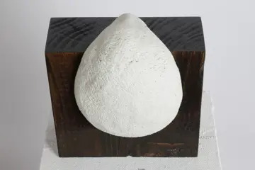Valeriu Cazacevschi (1981) - Metamorphic sculpture