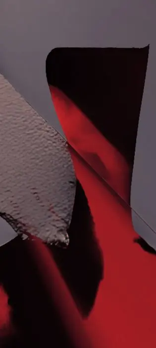 Paolo Ferraina - Fractal Red Mind