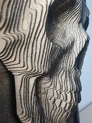 hozE - etariP / Skull 3D