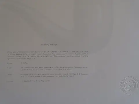 D'après René Magritte (1898-1967) - La trahison de simages