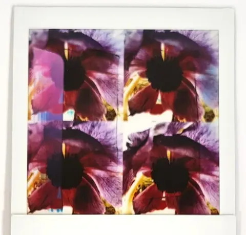 Maurizio Galimberti (1956) - BiFlowers - 11568