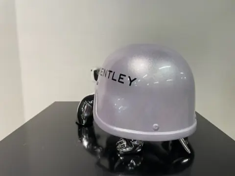 Van Apple - The Silver Peace Turtle - Bentley