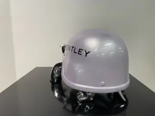 Van Apple - The Silver Peace Turtle - Bentley