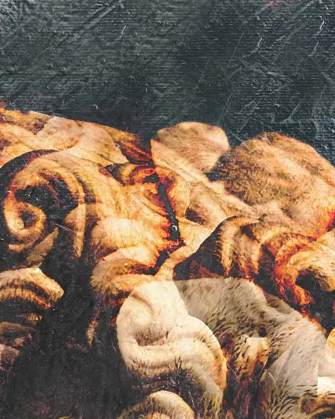 Dario Moschetta - Head 21B