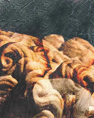 Dario Moschetta - Head 21B