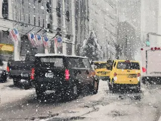 Michele Telari - Mattinata d'inverno