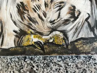 Miranda Assink (1970) - Owl Chicks