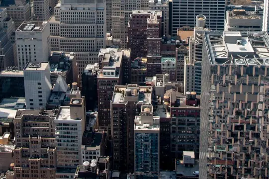 David Law - New York XI