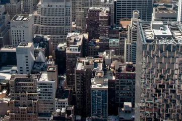 David Law - New York XI