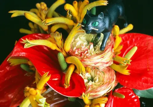 Nobuyoshi Araki (1940) - Monstrous Paradise nr. 118