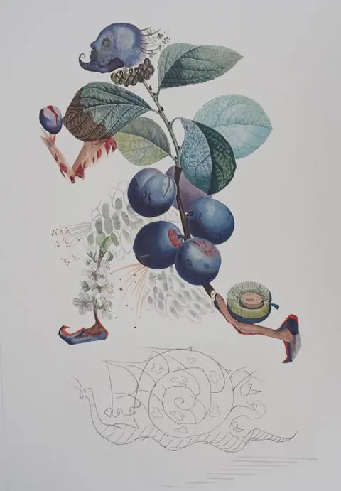 Salvador Dali (1904-1989) - Flordali, les Fruits : Prunier Hâtif