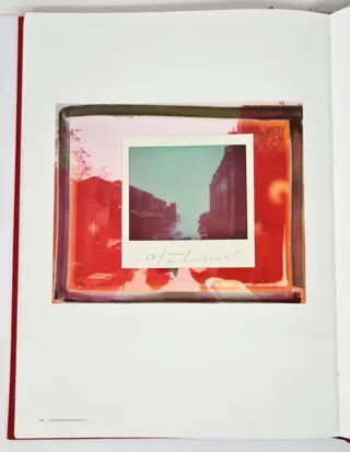 Maurizio Galimberti (1956) - Readymade Polaroid Venezia
