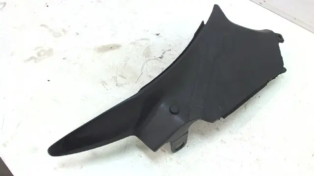 RECHTER ACHTERKANT Honda CBR 1100 XX 1999 - 2006