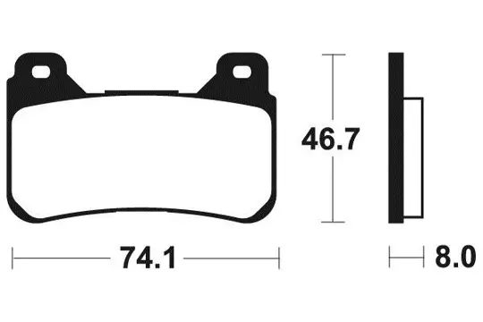REMBLOKKEN VOOR Honda CBR Fireblade 2006 - 2007 / 2008 -